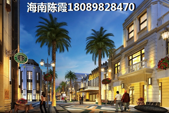 海南海南屯昌天悦花园