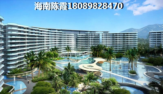 万兴壹号概述