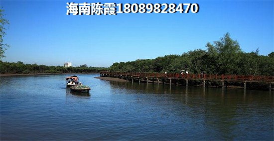 2021屯昌的房子生纸的空间大吗？