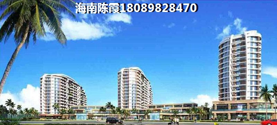 2022“候鸟”老人如何在屯昌购房