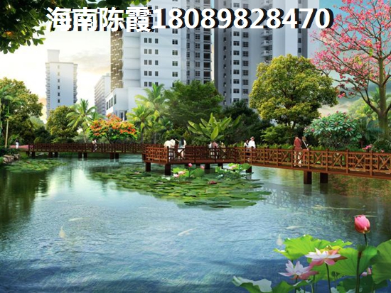屯昌买房哪里性价比高（屯昌房价2022要暴跌是真的吗）
