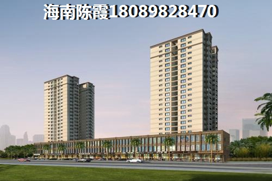 预估屯昌房价下跌的“候鸟”1