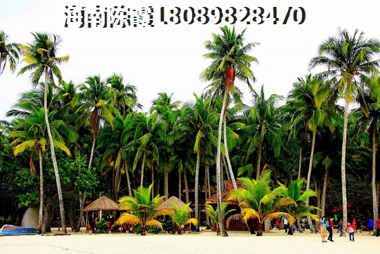 “候鸟”老人痛失屯昌购房条件~ “候鸟”老人痛失屯昌购房条件~