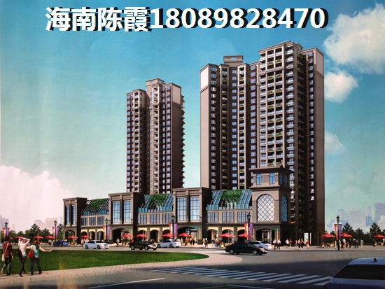中央绿园购房讲解