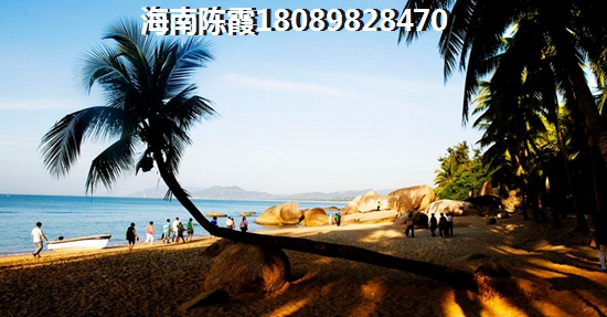 海南岛吸引业主买房子的因素！1