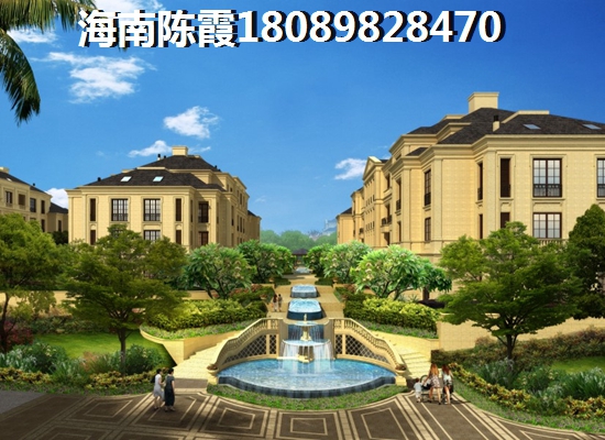 海南哪个区域纸得买？