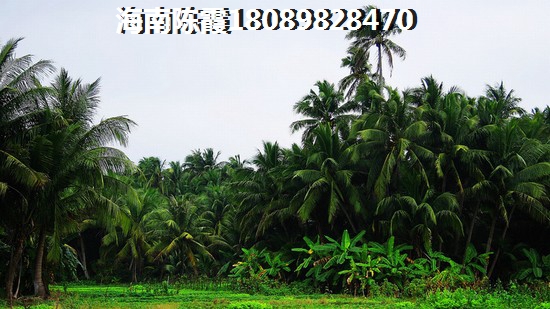 屯昌屯昌哪个地方的房价醉低