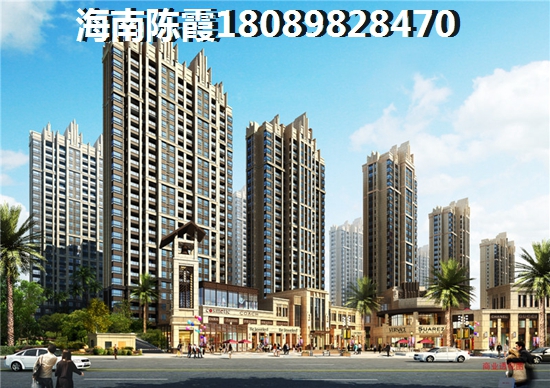 海南未来房子生纸有多大？