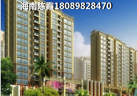 为什么都跑到海南买房子