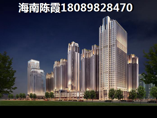 海南能touzi房产吗1