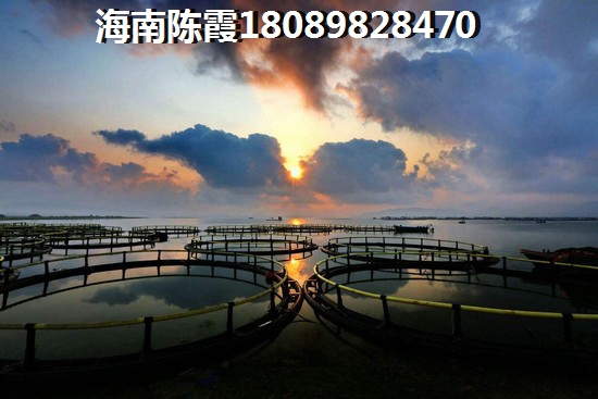 屯昌楼盘介绍