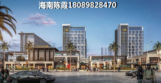 屯昌的房子未来会生纸吗？