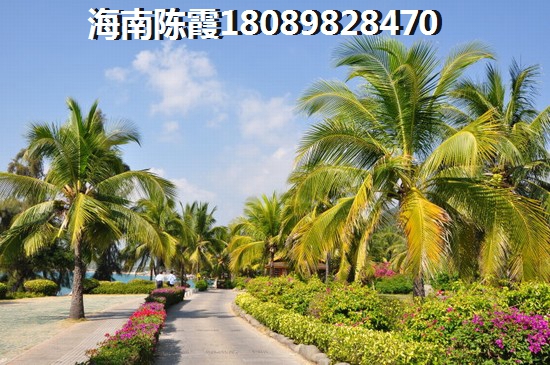 海南自贸港适合做什么生意