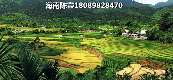 海南白沙县小户型哪便宜
