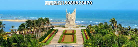 公洋鸭与母洋鸭的区别图片